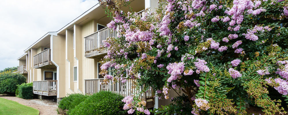 Sea Scape Beach And Golf Villas Kitty Hawk Luaran gambar